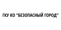 Безопасный город партнер Электрон39